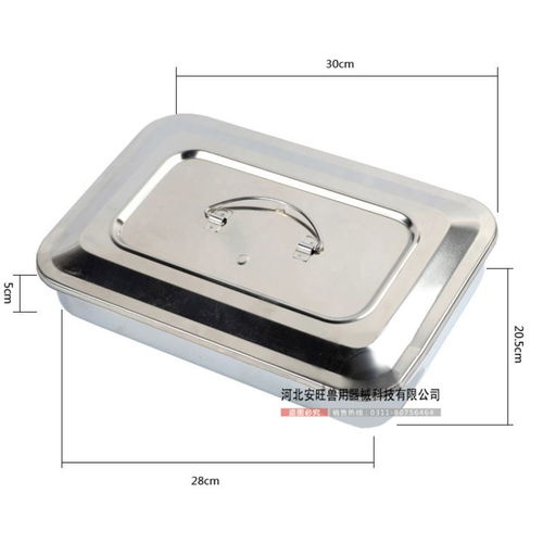 獸醫用手術器械全覽 從持針鉗到縫合線的專業工具解析